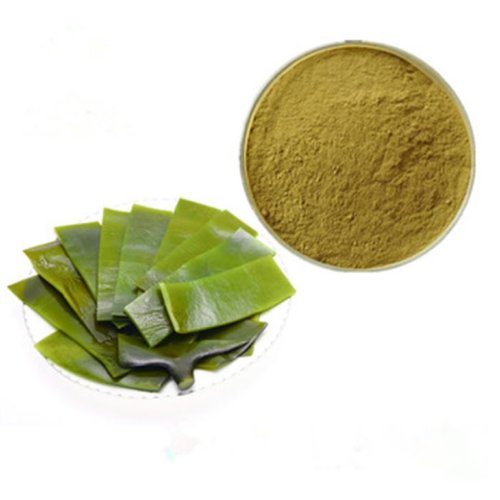 Ламинария  порошок оптом